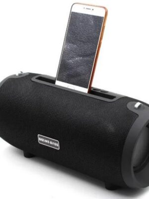 BassBoom portable speaker