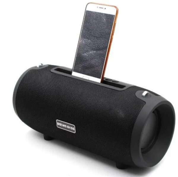 BassBoom portable speaker