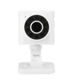 SafeView video surveillance camera